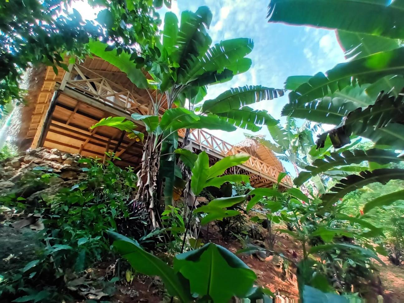 Samo Eco Lodge Las Terrenas Exterior foto